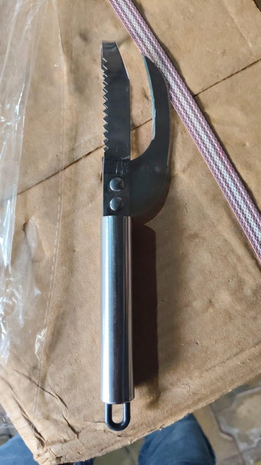 Fish Scaler Scrapper